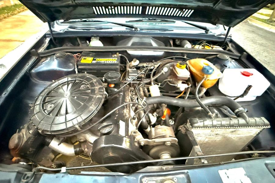 Imagem-do-WhatsApp-de-2025-10-28-as-09.26.52_1eebb105