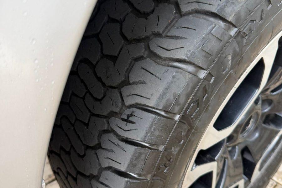 WhatsApp-Image-2026-01-13-at-15.56.12-1-1