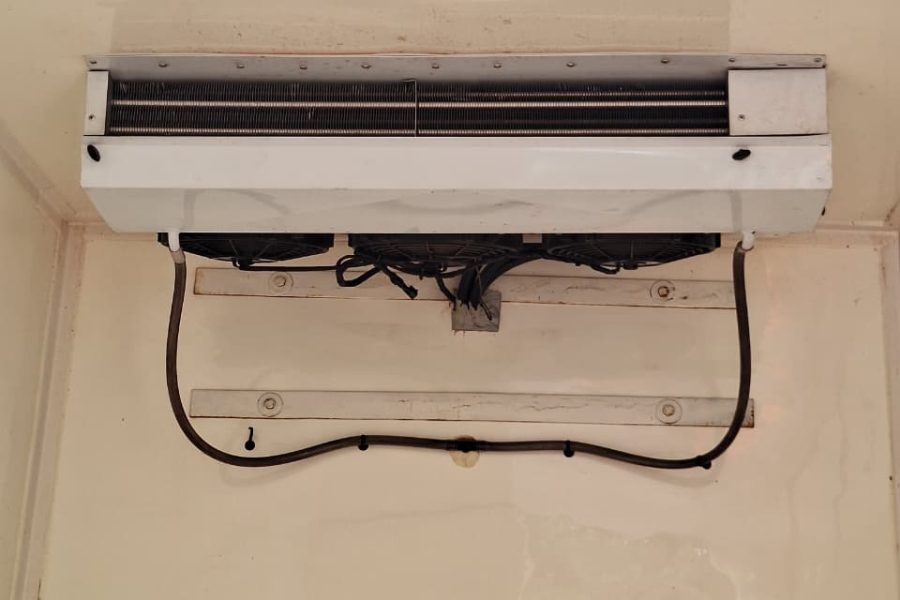 WhatsApp-Image-2026-01-25-at-12.18.35