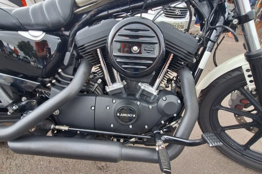 WhatsApp-Image-2026-01-25-at-12.29.58-1