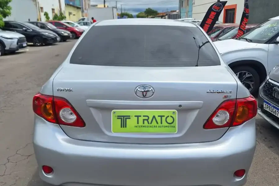 WhatsApp-Image-2026-01-26-at-11.31.04