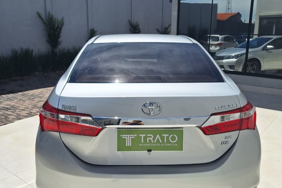 WhatsApp-Image-2026-01-30-at-17.02.09-1