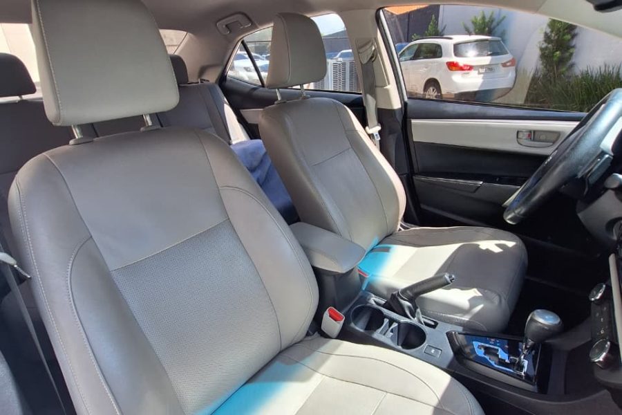 WhatsApp-Image-2026-01-30-at-17.02.21-1