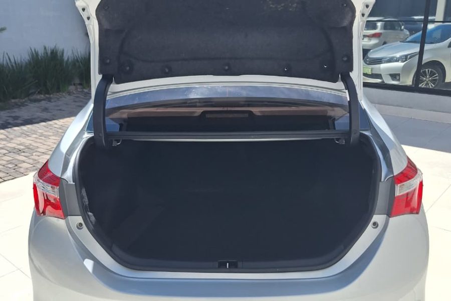 WhatsApp-Image-2026-01-30-at-17.02.23