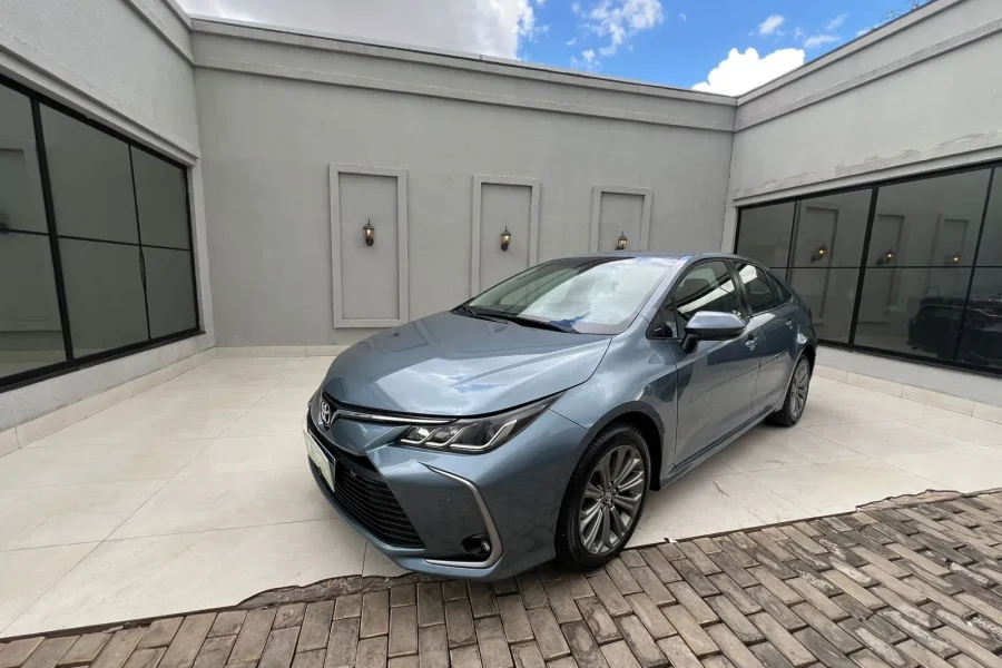 WhatsApp-Image-2026-02-02-at-10.54.19-1