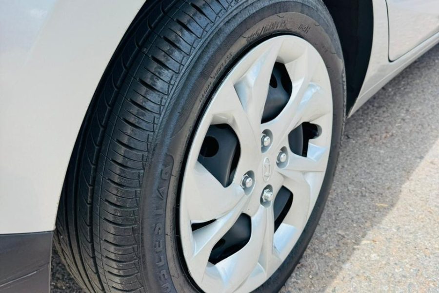 WhatsApp-Image-2026-02-10-at-10.54.55-1