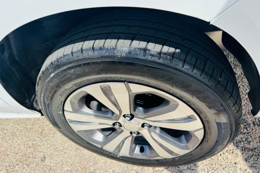 WhatsApp-Image-2026-02-10-at-15.18.46-1