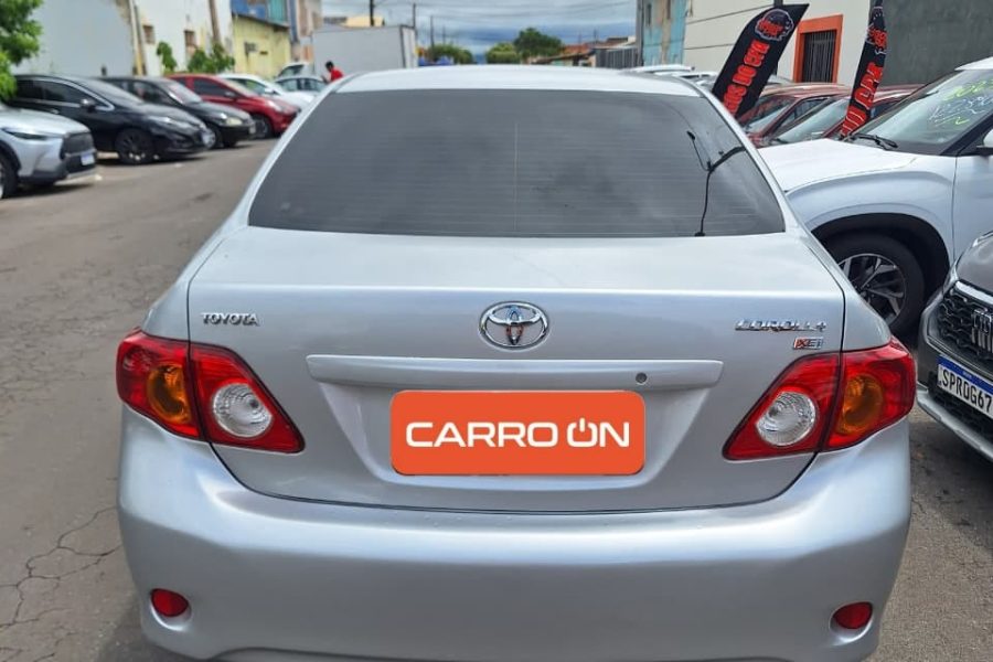 WhatsApp-Image-2026-03-23-at-17.01.13-3