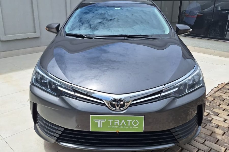 WhatsApp-Image-2026-03-31-at-15.16.06-1-1