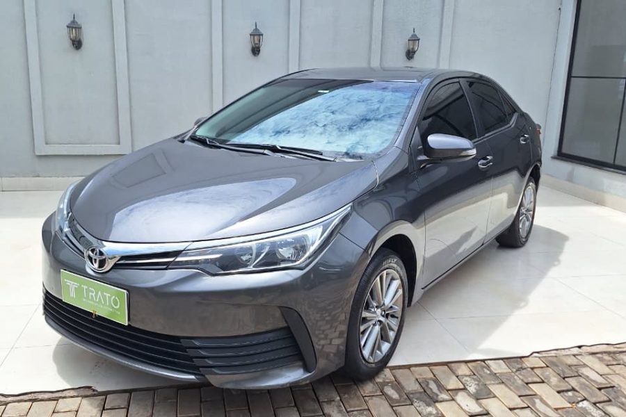 WhatsApp-Image-2026-03-31-at-15.16.06-1