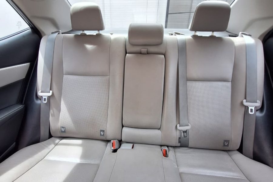 WhatsApp-Image-2026-03-31-at-15.16.18-1