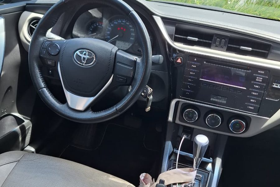 WhatsApp-Image-2026-03-31-at-15.16.19